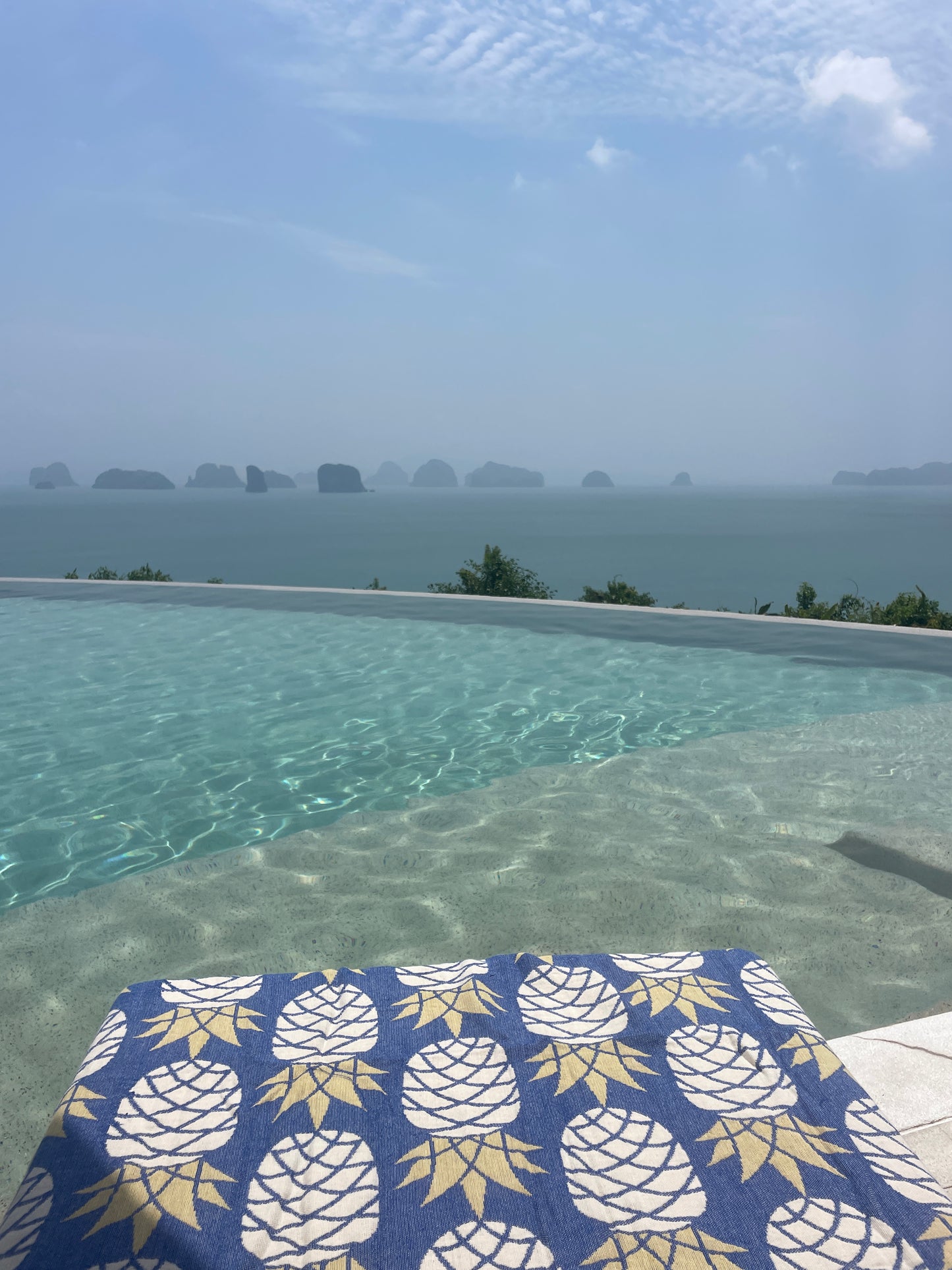 Pineapple Turkish Towel - Blue/ Gold