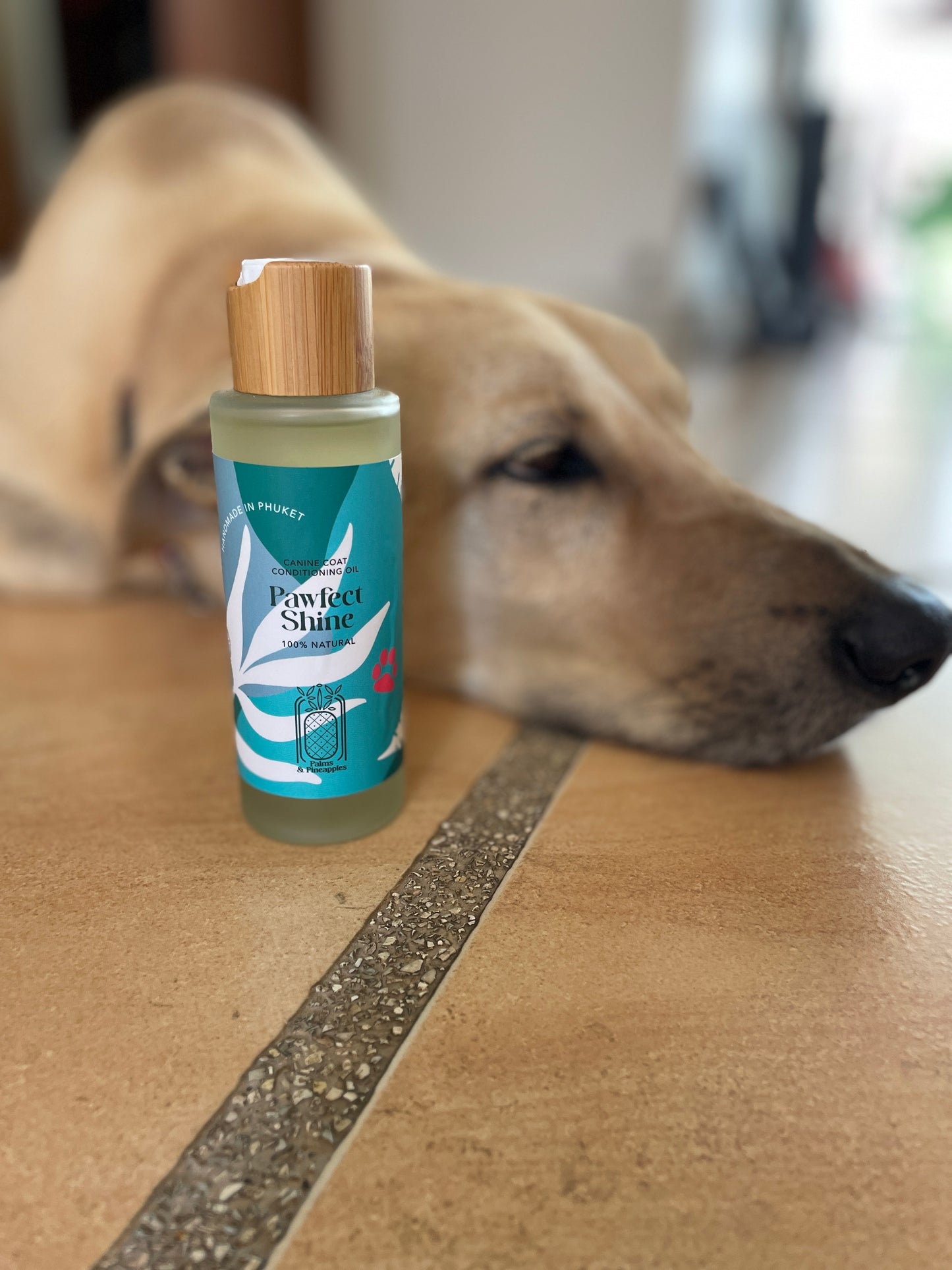 Pawfect Shine - Palms & Pineapples