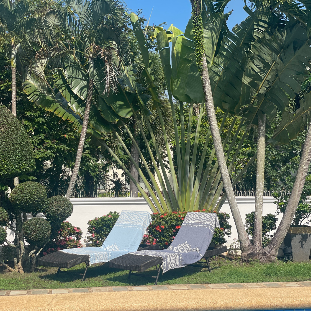 Plus - Light Blue - Palms & Pineapples