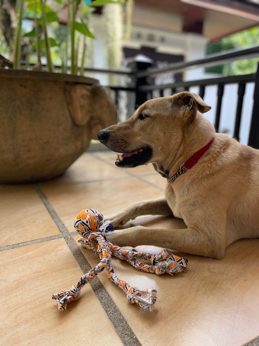 Thai themed Dog Toy